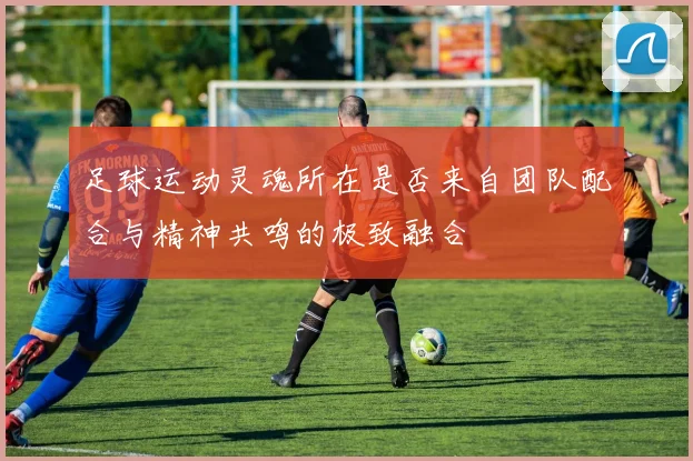 足球运动灵魂所在是否来自团队配合与精神共鸣的极致融合